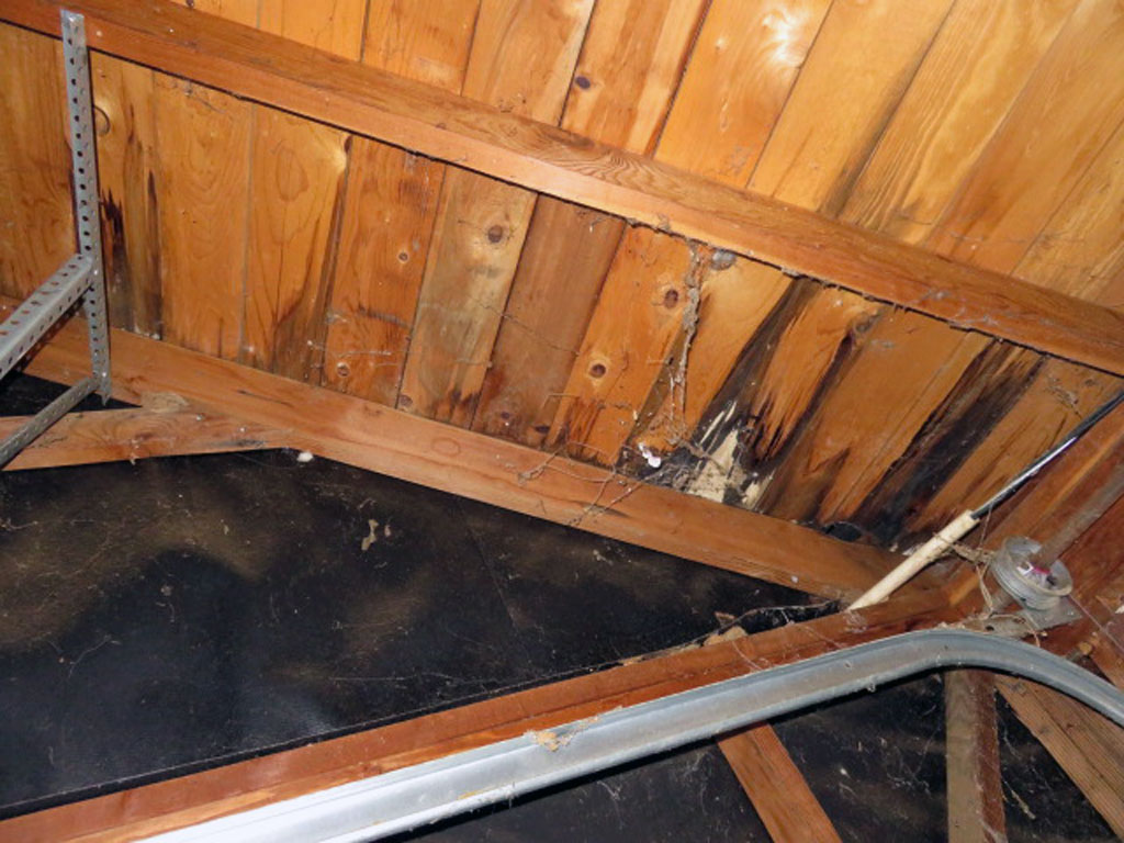 The white growth on the underside of the roof sheathing is a wood destroying organism as a result of a leak that will need replacement of the wood and roof repair